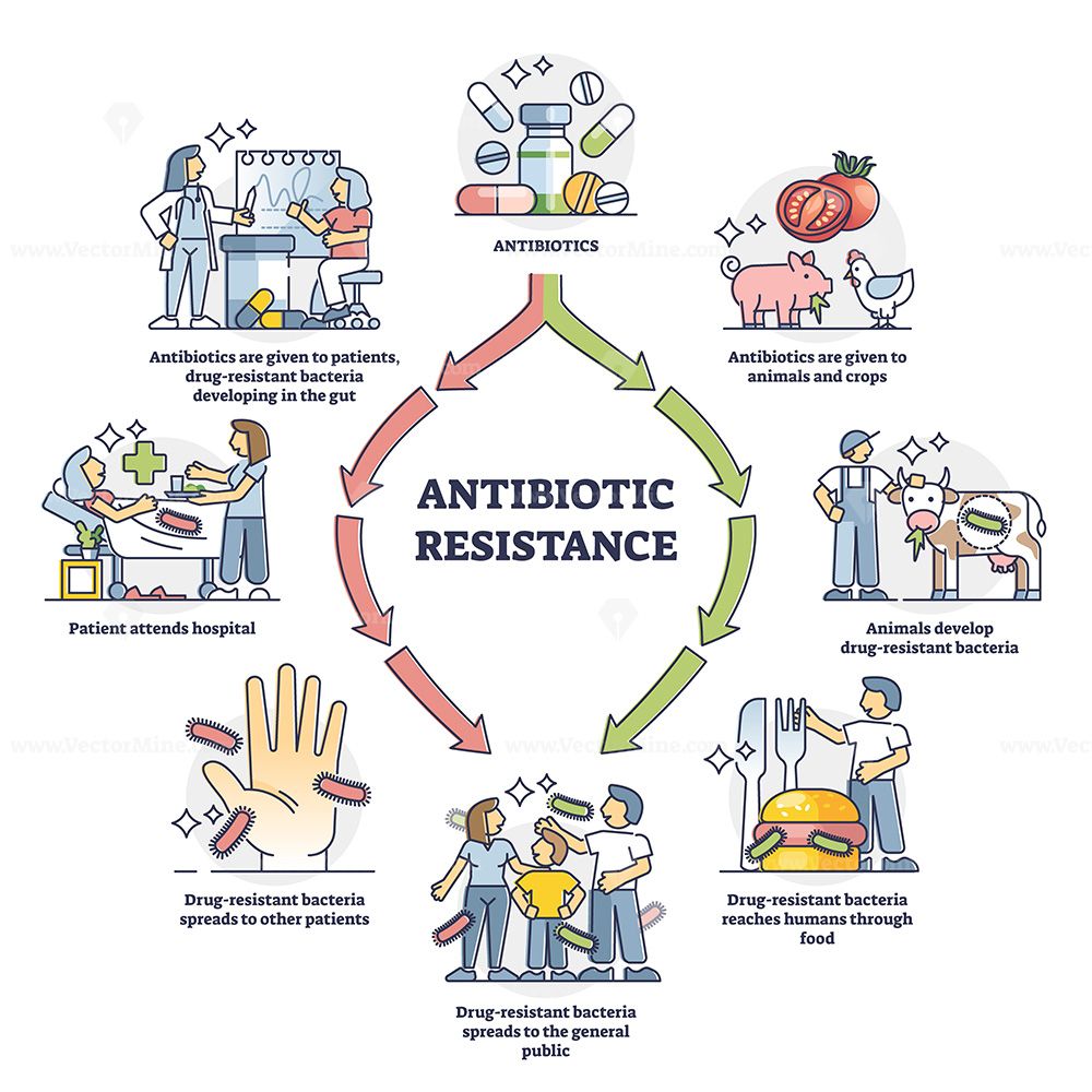 Antibiotic resistance concept illustration