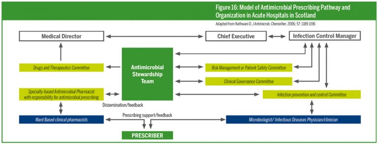 Hospital stewardship program chart