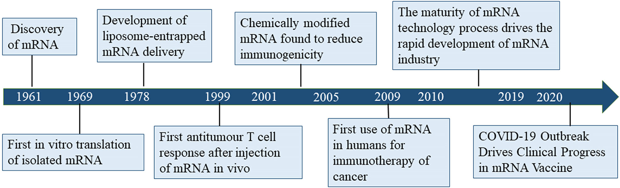 Timeline of mRNA vaccine development